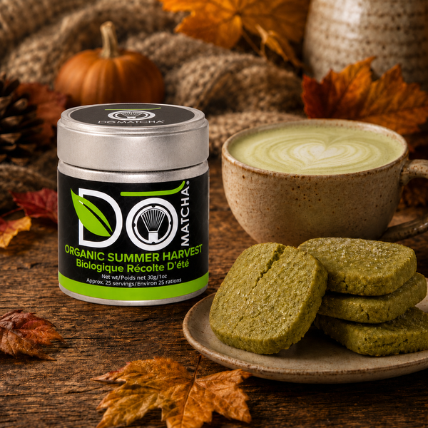 Fall Baking with Matcha: Seasonal Treats to Try at Home