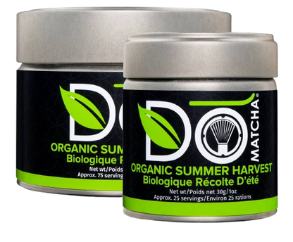 Récolte d'été biologique